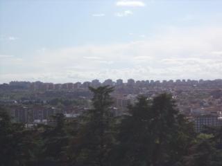 DSC06073.JPG