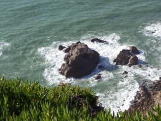 DSC07861.JPG