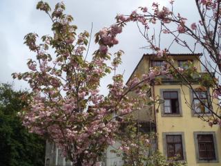DSC08387.JPG