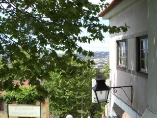 DSC07650.JPG