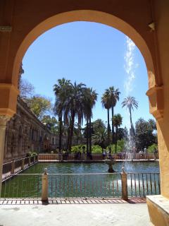 DSC07170.JPG