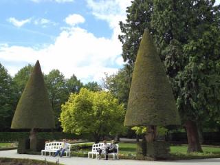 DSC09917.JPG