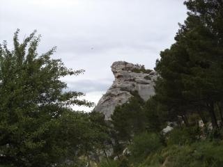 DSC09398.JPG