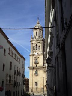 DSC06250.JPG