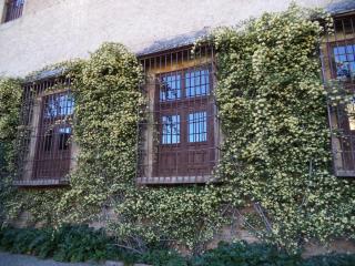 DSC06361.JPG