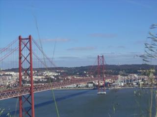 DSC07930.JPG