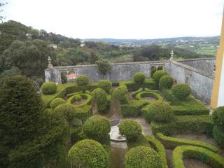 DSC07622.JPG