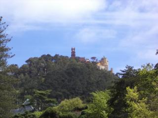 DSC07693.JPG