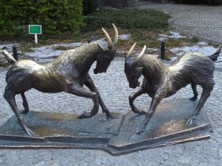 DSC05104.JPG
