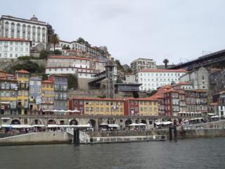 DSC08565.JPG
