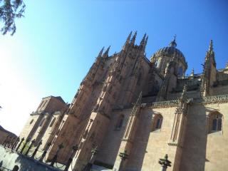 DSC08865.JPG