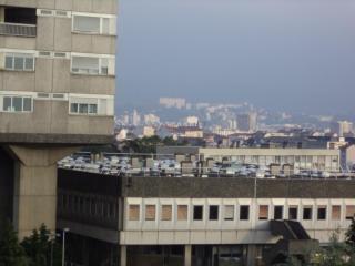 DSC09477.JPG