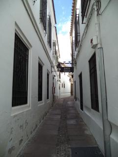 DSC06774.JPG