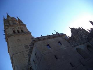 DSC08856.JPG