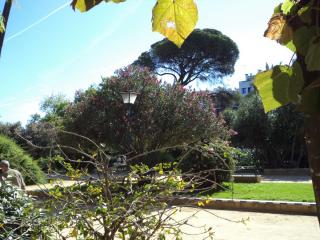 DSC07013.JPG