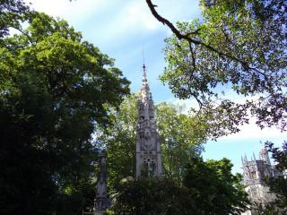 DSC07731.JPG