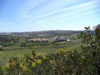DSC08016.JPG