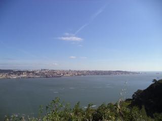 DSC07948.JPG
