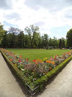 DSC09910.JPG