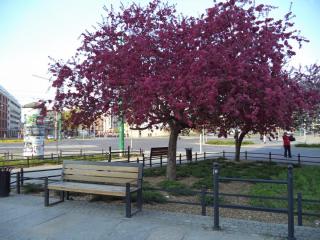 DSC05125.JPG