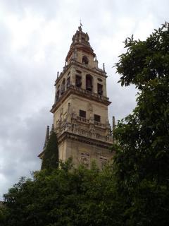 DSC06802.JPG