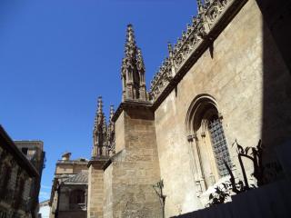 DSC06662.JPG