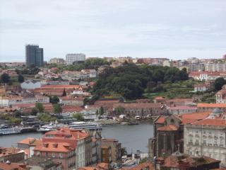 DSC08511.JPG
