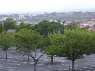 DSC09231.JPG