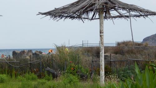 DSCN1049.JPG