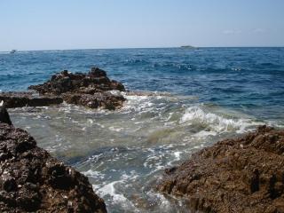 DSC00954.JPG