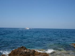 DSC00953.JPG