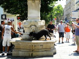 DSCN4561.JPG