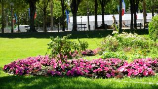 DSCN3977.JPG