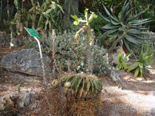 DSCN4922.JPG
