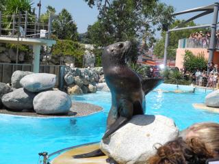 DSCN5179.JPG