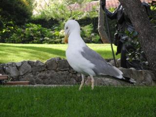 DSCN4940.JPG