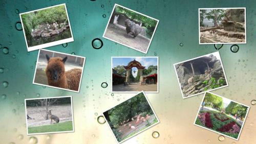 1 берлин зоо.jpg