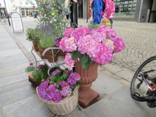 IMG_3359.JPG