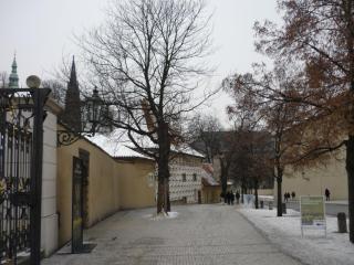 P1410914.JPG