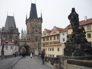 P1420144.JPG