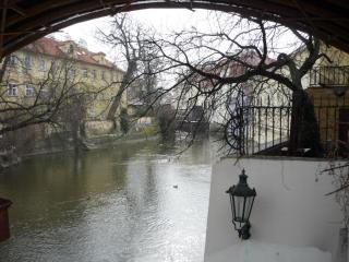 P1420131.JPG