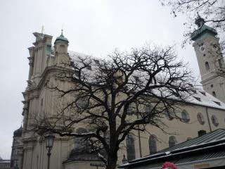 P1420541.JPG