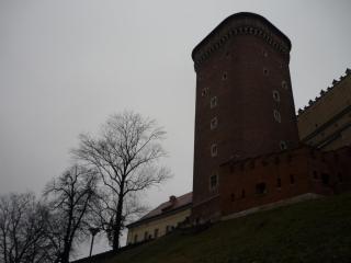 P1440051.JPG