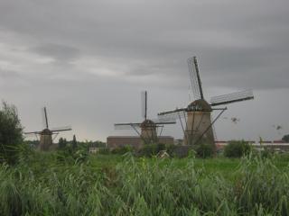 IMG_4999.JPG