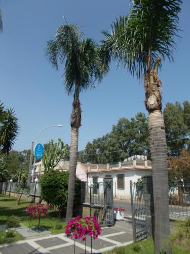 DSCN0105.JPG