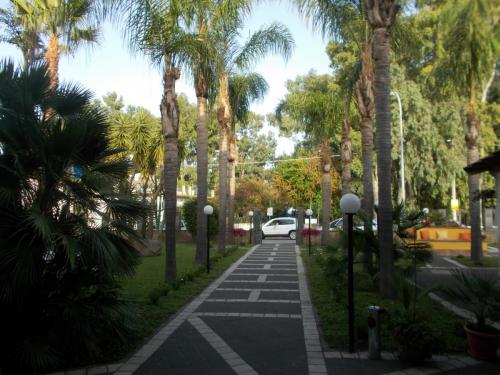 DSCN0135.JPG