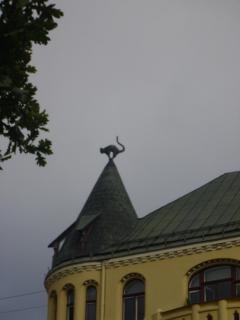 IMG_2267.JPG