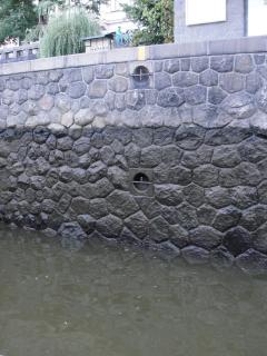 DSC03453.JPG