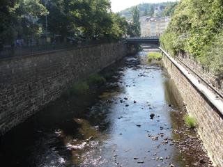 DSC03530.JPG