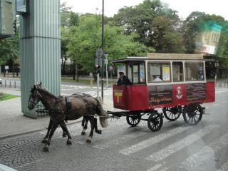 DSC03064.JPG